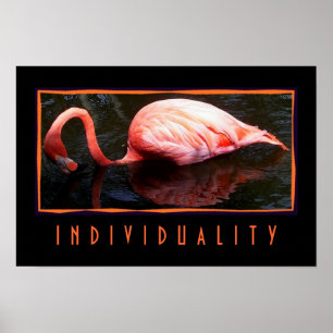 Individuele Poster