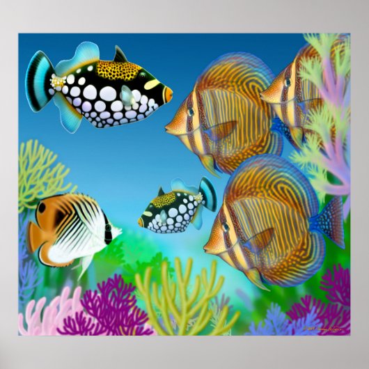 Indo-Pacific Coral Reef Fish Poster (Voorkant)
