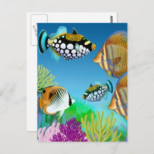 Indo Pacific Reef Fish Briefkaart (Voorkant / Achterkant)