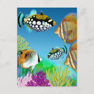 Indo Pacific Reef Fish Briefkaart