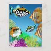 Indo Pacific Reef Fish Briefkaart (Voorkant)