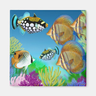 Indo Pacific Reef Fish Magnet