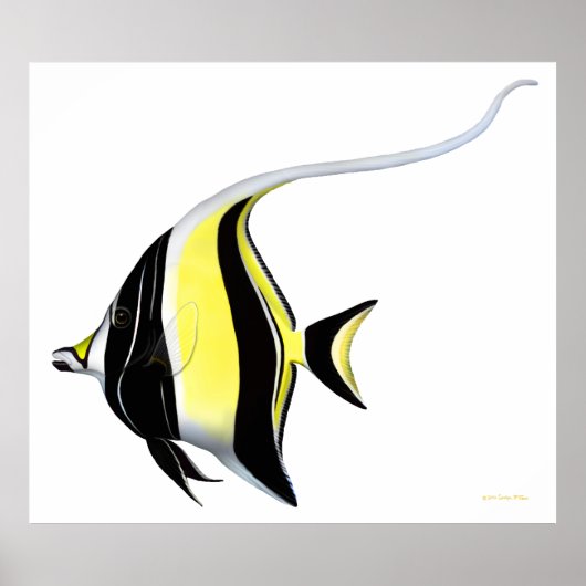 Indo Pacific Reef Moorish Idol Fish Poster (Voorkant)