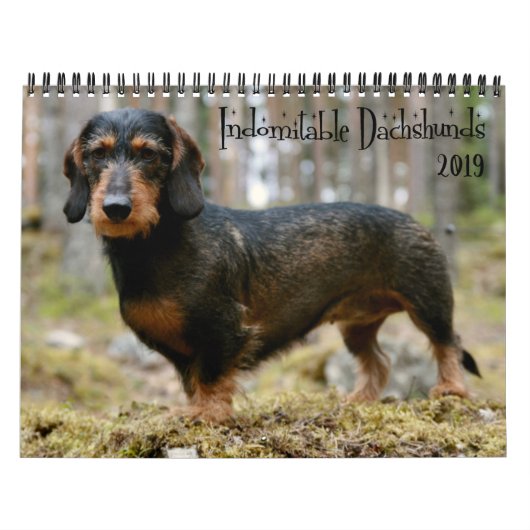 Indomitable Dachshunds Aangepast jaar Kalender (Hoes)