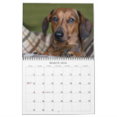 Indomitable Dachshunds Aangepast jaar Kalender (Mar 2026)