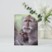 Indonesia, Bali, Ubud, Long-tailed Macaque 1 Briefkaart (Staand voorkant)