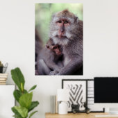 Indonesia, Bali, Ubud, Long-tailed Macaque 1 Poster (Thuiskantoor)