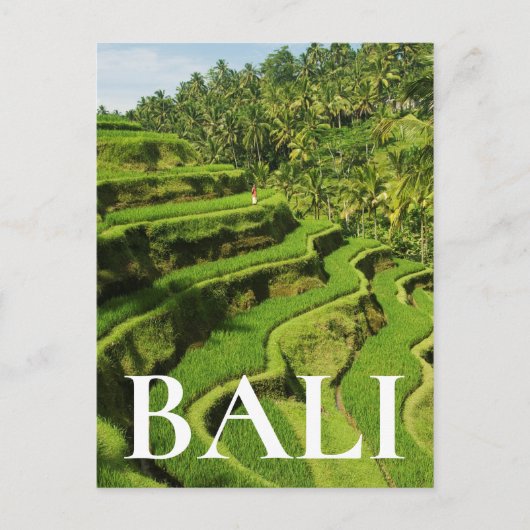 Indonesië, Bali | Rijstpaddies Briefkaart (Voorkant)