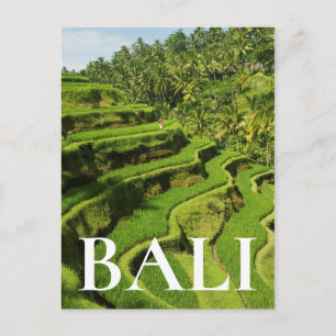 Indonesië, Bali   Rijstpaddies Briefkaart