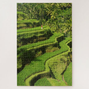 Indonesië, Bali   Rijstpaddies Legpuzzel