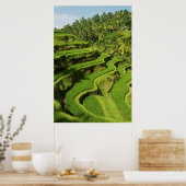 Indonesië, Bali | Rijstpaddies Poster (Keuken)
