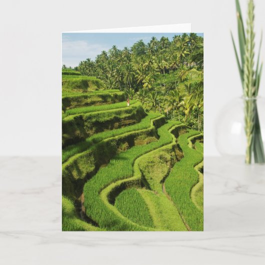 Indonesië, Bali| Rijstpasta's Kaart (Voorkant)