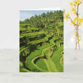 Indonesië, Bali| Rijstpasta's Kaart (Gele Bloem)