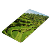 Indonesië, Bali | Rijstvelden Magneet (Linkerzijde)