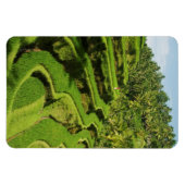 Indonesië, Bali | Rijstvelden Magneet (Horizontaal)