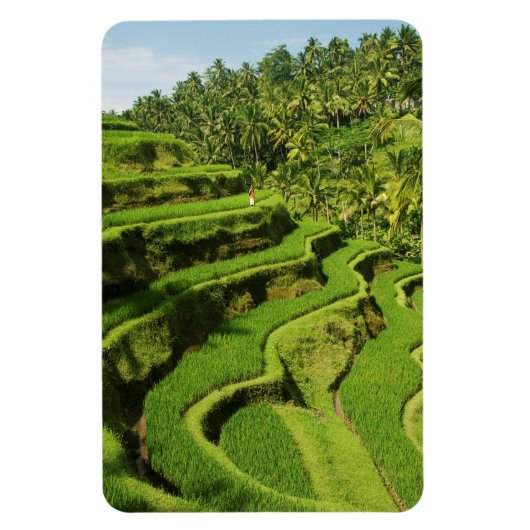 Indonesië, Bali | Rijstvelden Magneet (Verticaal)