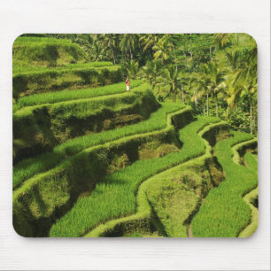 Indonesië, Bali Rijstvelden Muismat