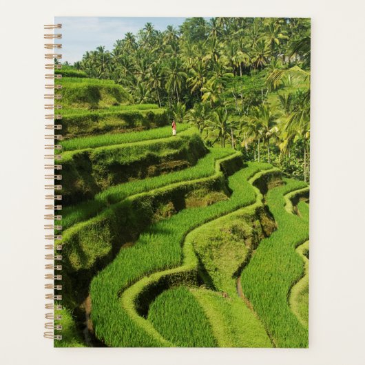 Indonesië, Bali | Rijstvelden Planner (Voorkant)