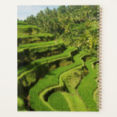 Indonesië, Bali | Rijstvelden Planner (Achterkant)