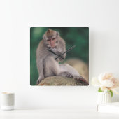 Indonesië, Bali, Ubud, Java-aap Vierkante Klok (Huis)