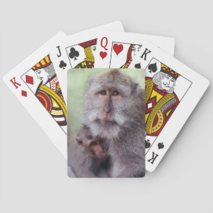 Indonesië, Bali, Ubud, Langstaartmakaken Pokerkaarten