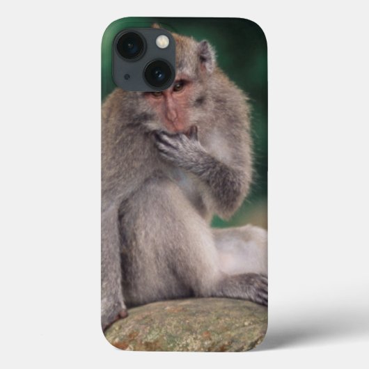 Indonesië, Bali, Ubud, Macaque 2 met lange staart Case-Mate iPhone Case (Achterkant)