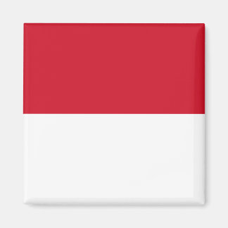 Indonesië ID, Jakarta, Vlag Magneet