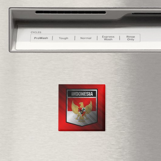 Indonesië Magneet (Insitu (Vaatwasser))
