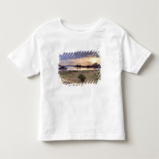 Indonesië, Nationaal Park Komodo. Zonnetijd op één Kinder Shirts (Voorkant)