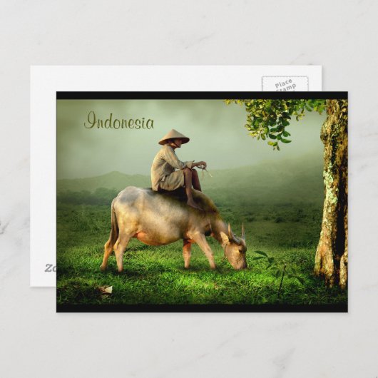 Indonesië Schilderachtig landschap met buffel en b Briefkaart (Voorkant / Achterkant)