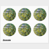 Indonesië. Scholing Vissen Ronde Sticker (Vel)