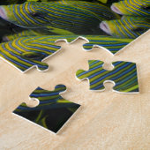 Indonesië. Schooilvis Legpuzzel (Zijkant)