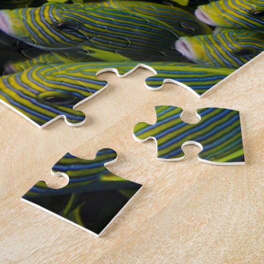 Indonesië. Schooilvis Legpuzzel (Zijkant)