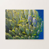 Indonesië. Schooilvis Legpuzzel (Horizontaal)