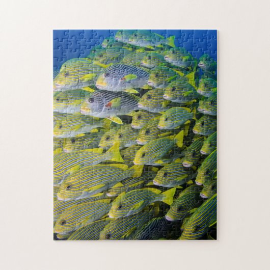 Indonesië. Schooilvis Legpuzzel (Verticaal)
