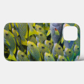 Indonesië. Schoolvormende Vissen Case-Mate iPhone Case (Achterkant (horizontaal))