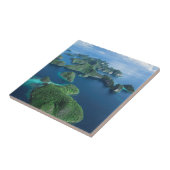 Indonesië, West-Papoea. Ampat van Raja Tegeltje (Zijkant)