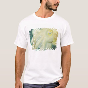 Indonesië, Zuid-Sulawesi provincie, Wakatobi T-shirt