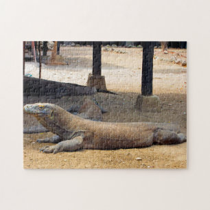 Indonesisch Nationaal Park Komodo-drongo. Legpuzzel
