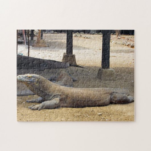 Indonesisch Nationaal Park Komodo-drongo. Legpuzzel (Horizontaal)
