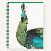 Indonesisch Notitieboek van het Peacock Face