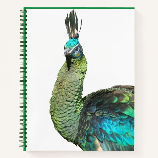 Indonesisch Notitieboek van het Peacock Face (Voorkant)