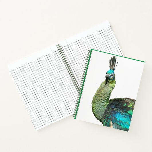 Indonesisch Notitieboek van het Peacock Face (Binnen)