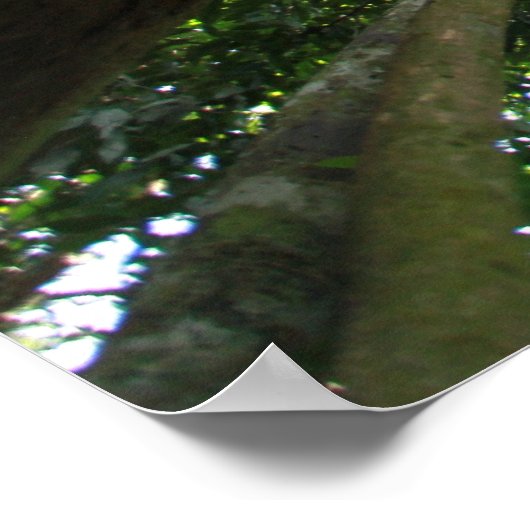 Indonesisch regenwoud poster (Hoek)