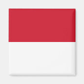 Indonesische (Indonesische) vlag Magneet (Voorkant)