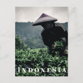 Indonesische Tea-vakarbeider, briefkaart