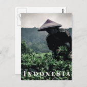 Indonesische Tea-vakarbeider, briefkaart (Voorkant / Achterkant)