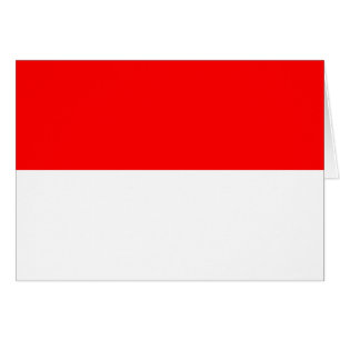 Indonesische vlag