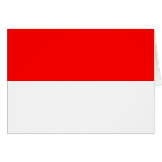 Indonesische vlag (Voorkant Horizontaal)