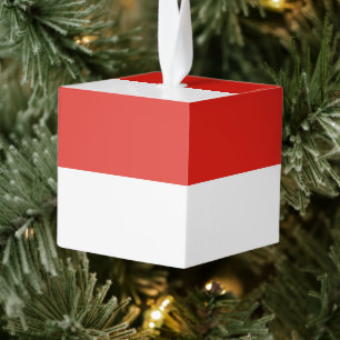 Indonesische vlag decoratie